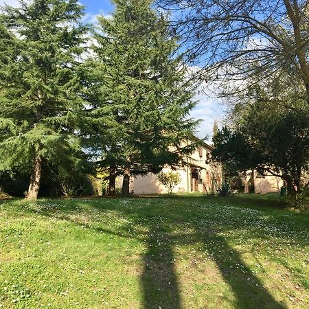 Fauglia Agriturismo Bethsaid מראה חיצוני תמונה