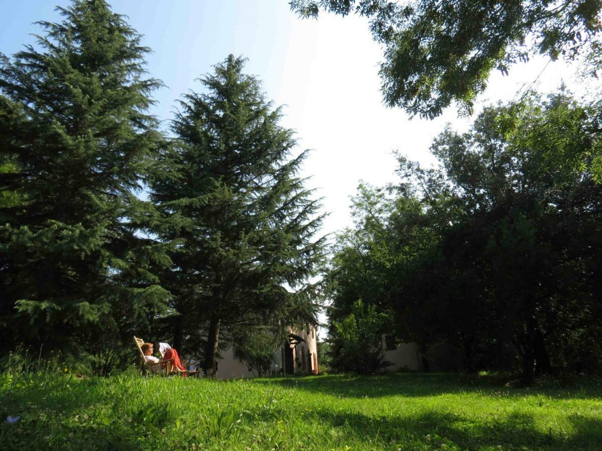 Fauglia Agriturismo Bethsaid מראה חיצוני תמונה