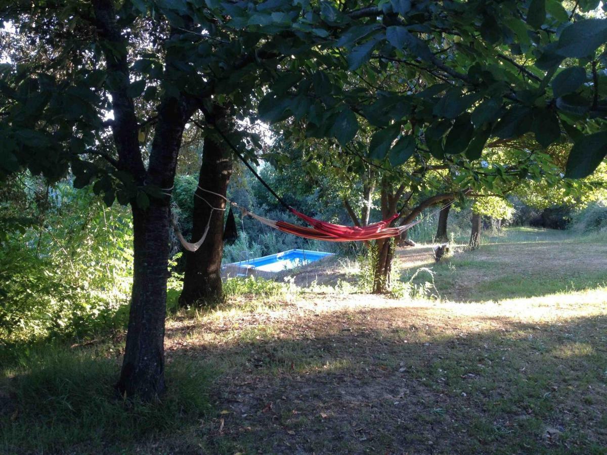 Fauglia Agriturismo Bethsaid מראה חיצוני תמונה