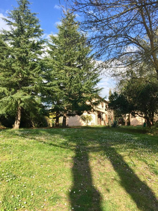 Fauglia Agriturismo Bethsaid מראה חיצוני תמונה