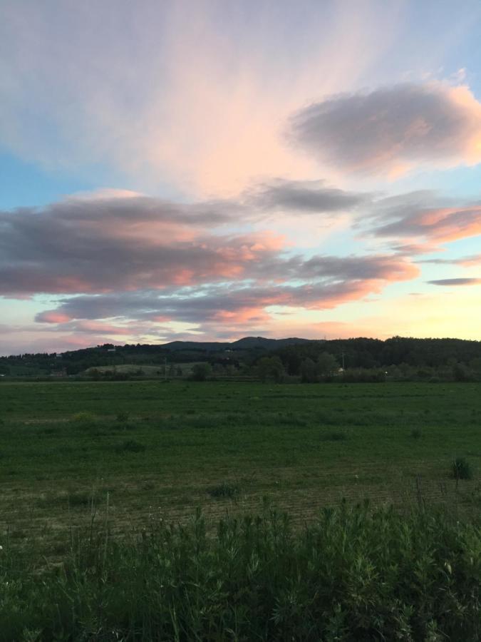 Fauglia Agriturismo Bethsaid מראה חיצוני תמונה